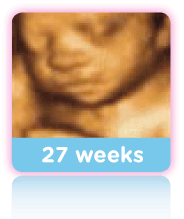 27 weeks baby scans